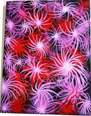 Fireworks Canvas Print Fireworks Canvas Print