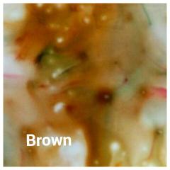 Magical powder Brown Magical powder Brown