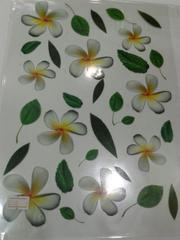 Sospeso Sheet - 10 Sospeso Sheet - 10