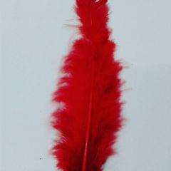 Feather - Red Feather - Red
