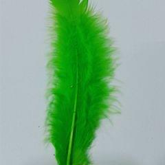 Feather - Green Feather - Green