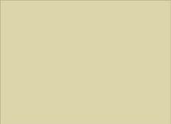 Flower Paper - Beige Flower Paper - Beige