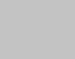 Flower Paper - Gray Flower Paper - Gray