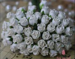 Twisted Rose Buds - Ivory Twisted Rose Buds - Ivory