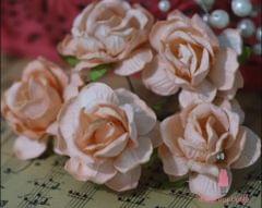 Curly Roses - Light Orange Curly Roses - Light Orange