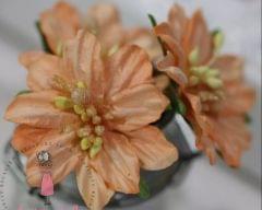 Mulberry Lily with Pollens - Orange Mulberry Lily with Pollens - Orange