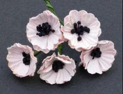 Poppy Flower with Pollens - Pale Pink Poppy Flower with Pollens - Pale Pink