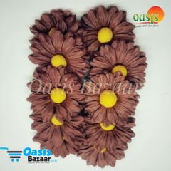 Daisy Sun Flowers Brown in Color. Daisy Sun Flowers Brown in Color.
