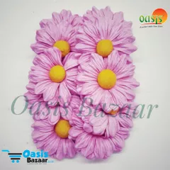 Daisy Sun Flowers Pink in Color Daisy Sun Flowers Pink in Color