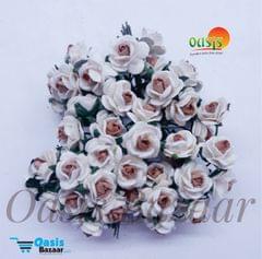 Micro Mini Roses 39 Micro Mini Roses 39