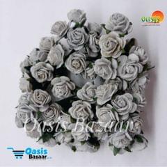 Micro Mini Roses 42 Micro Mini Roses 42
