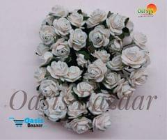 Micro Mini Roses 43 Micro Mini Roses 43