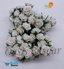 Micro Mini Roses 44 Micro Mini Roses 44