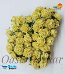 Micro Mini Roses 47 Micro Mini Roses 47
