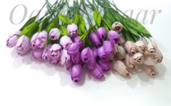 Tulip Buds Mix in Color 48 Buds in Pack. Tulip Buds Mix in Color 48 Buds in Pack.