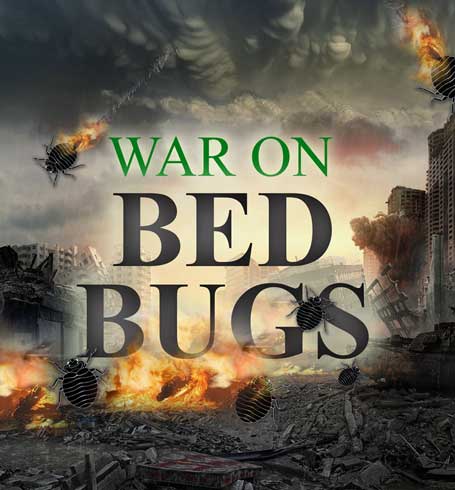 War on Bed Bugs Page with host of info on how to handle bed bugs