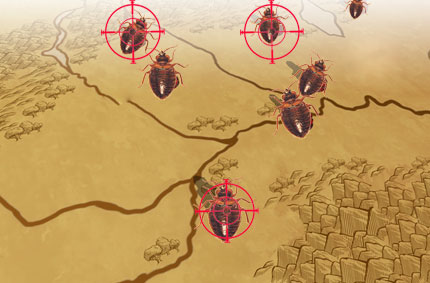 strategies for bed bug treatment