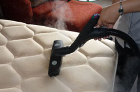 steam treatment for bed bugs