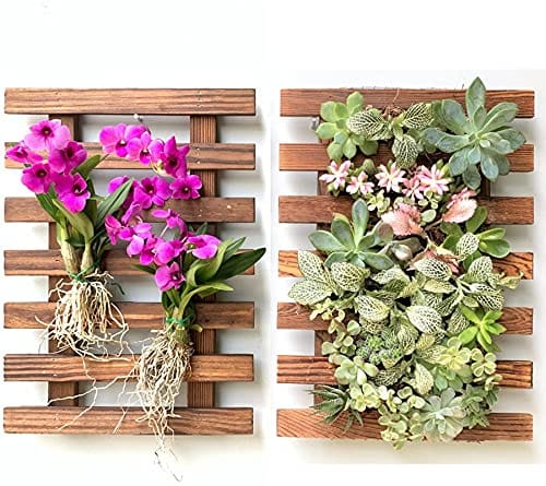 Buy 29 x 5 x 40 cm - Set of 2 - Wooden Hanging Wall Frame/Planter Stand Online | Urvann.com 29 x 5 x 40 cm - Set of 2 - Wooden Hanging Wall Frame/Planter Stand