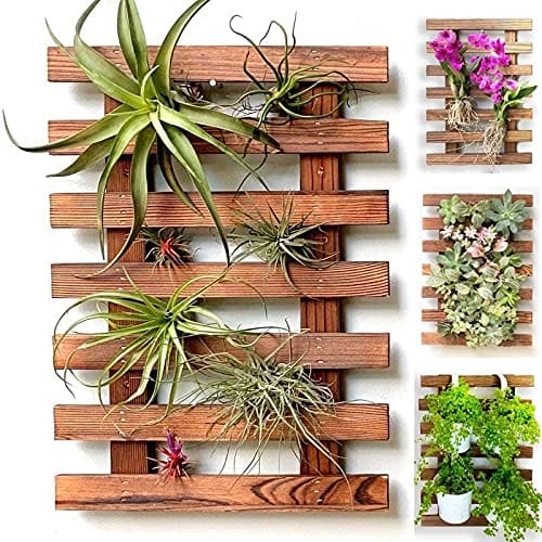 Buy 29 x 5 x 40 cm - Wooden Hanging Wall Frame/Planter Stand Online | Urvann.com 29 x 5 x 40 cm - Wooden Hanging Wall Frame/Planter Stand