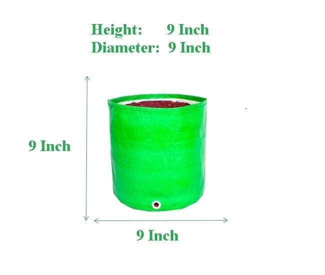 Buy Grow Bags - 9X9 Inch - Set of 3 Bags Online | Urvann.com Grow Bags - 9X9 Inch - Set of 3 Bags