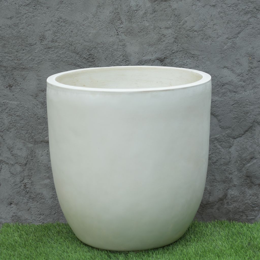 Buy Cup Fiberglass Planter-White-20 Inches Online | Urvann.com Cup Fiberglass Planter-White-20 Inches