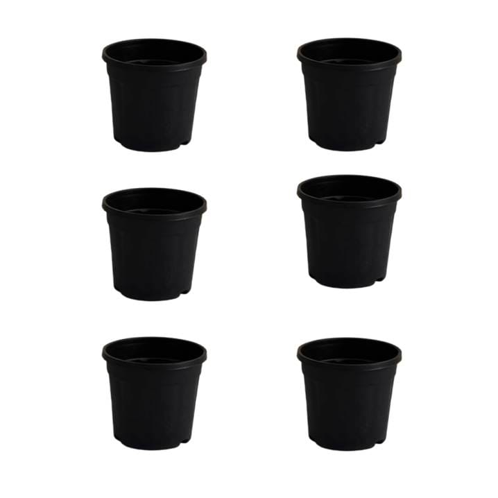 Buy Set of 6 - 6 Inch Nursery Pots Online | Urvann.com Set of 6 - 6 Inch Nursery Pots