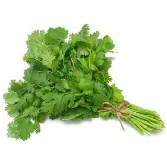 Coriander Seeds Coriander Seeds