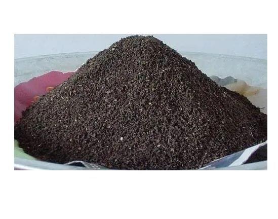 Buy Neem Khali - 1 Kg Online | Urvann.com Neem Khali - 1 Kg