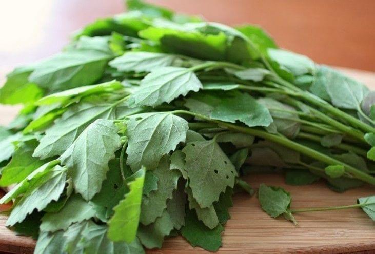 Buy Bathua Seeds - Excellent Germination Online | Urvann.com Bathua Seeds - Excellent Germination