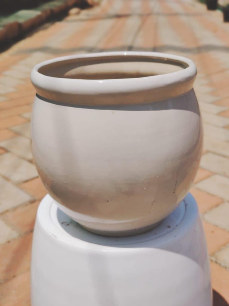 Buy 10 Inch Yellow Classy Handi Ceramic Pot Online | Urvann.com 10 Inch White Classy Handi Ceramic Pot