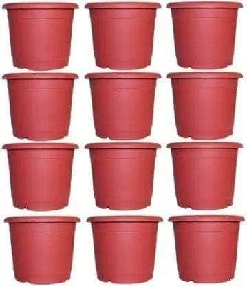 Buy Set of 12 - 8 inch Red Nursery Pot Online | Urvann.com Set of 12 - 8 inch Red Nursery Pot