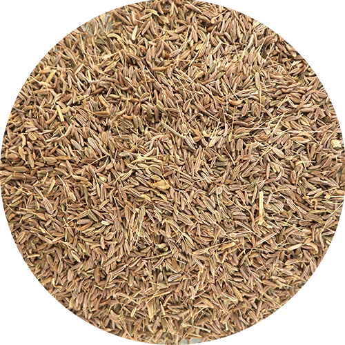 Spices Caraway Grain By Weight