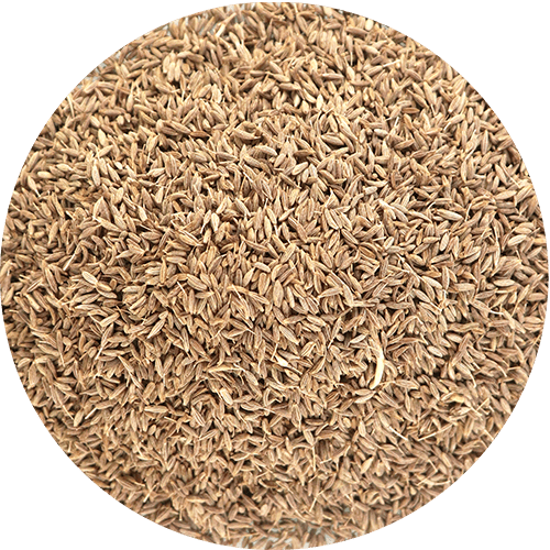 Spices Cumin Grain By Weight