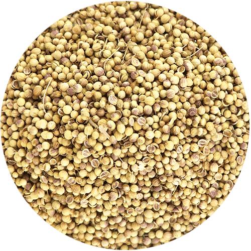 Spices Coriander Seeds By Weight
