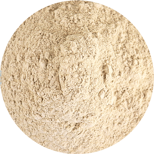 Spices Garlic Ground By Weight