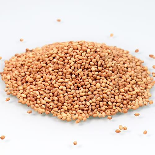 Mahlab Grain By Weight