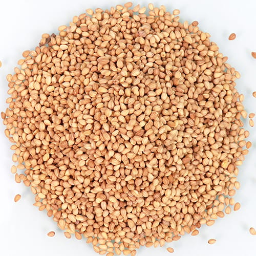 Mahlab Grain By Weight