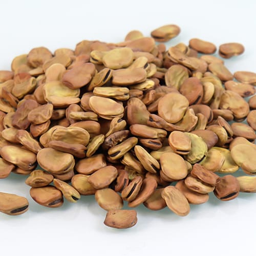 Broad Beans Yellow 500g