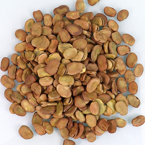 Broad Beans Yellow 500g