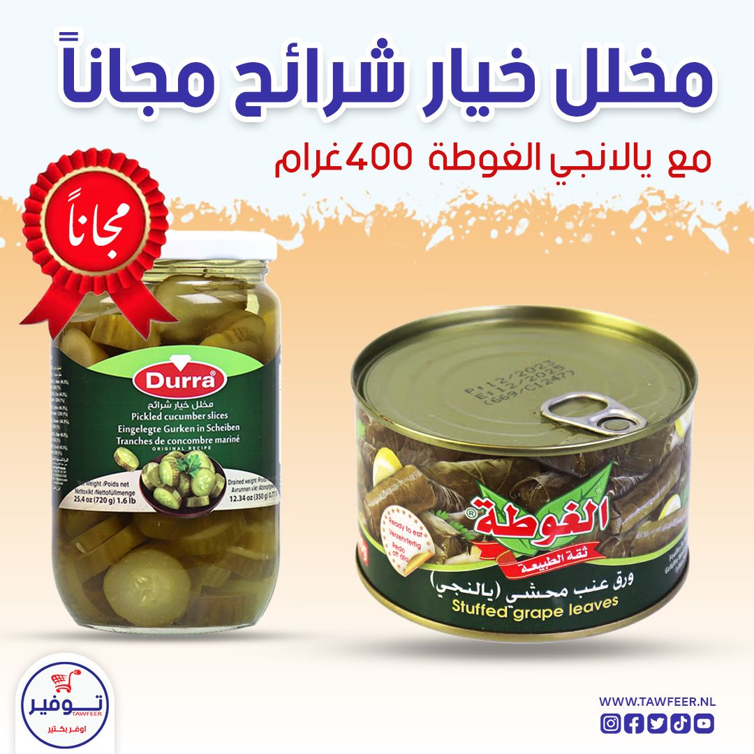 Stuffed Vine Leaves Algota 400g