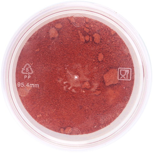 Tomato Powder 250g