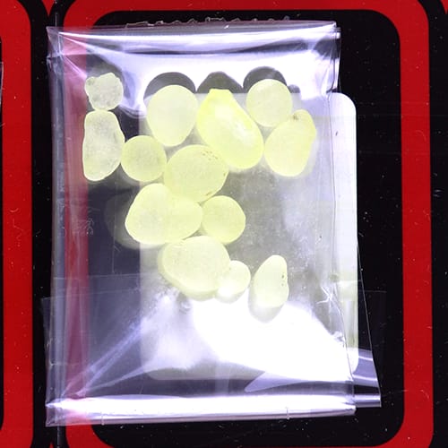 Greek Mastic Abido 1 pcs