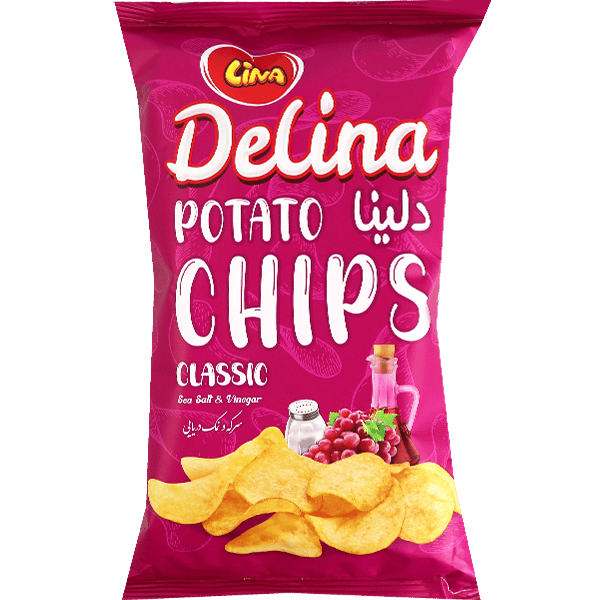 Delina Potato Chips Salt Vinegar Classic 55g