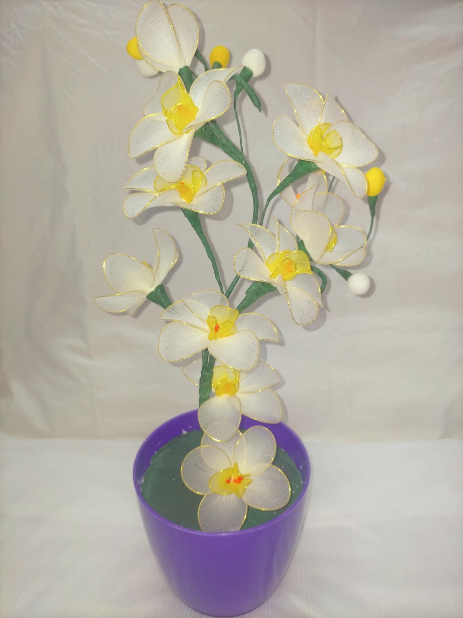 White Orchids with Pot