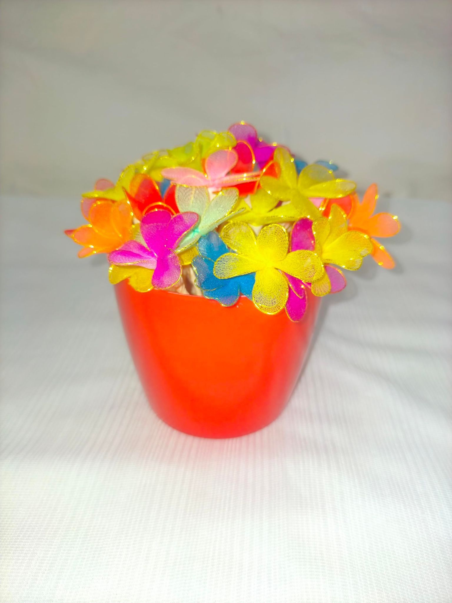 Small Multicolor Stocking Flowers with Pot