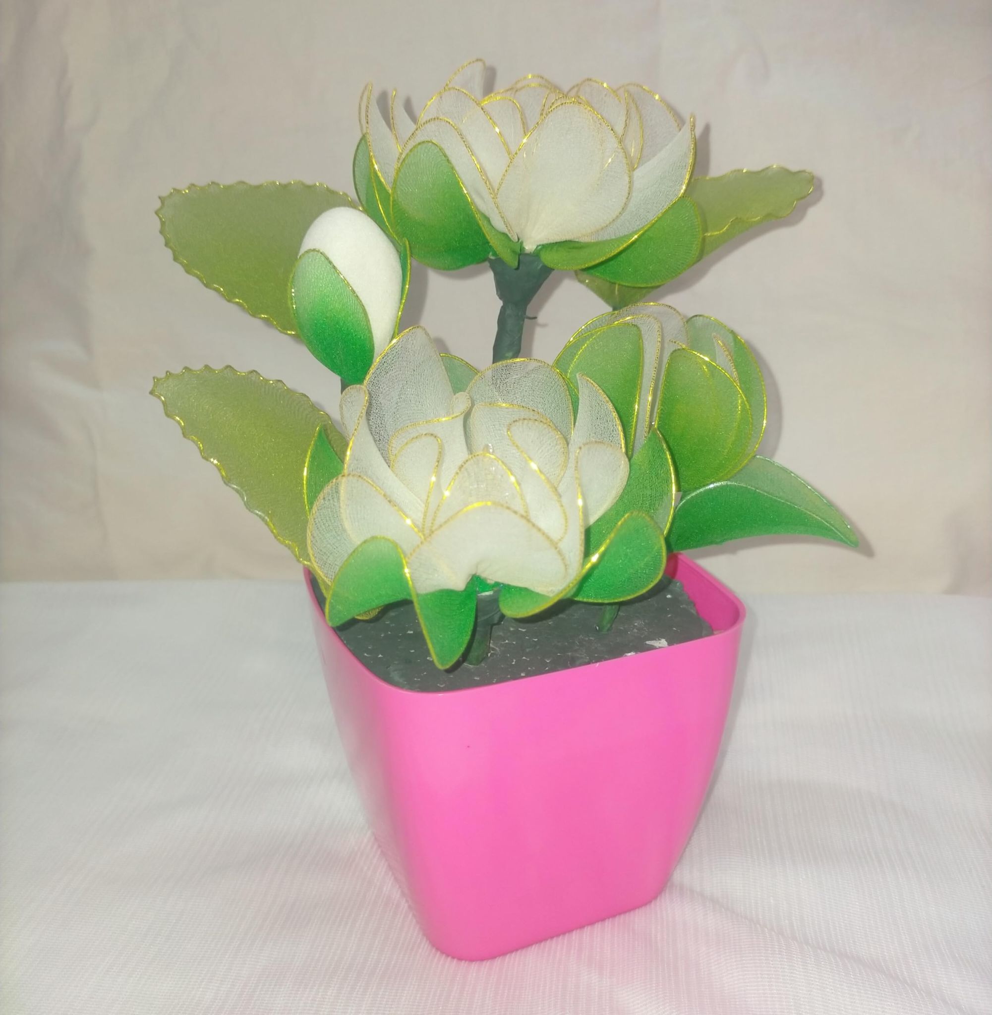 Elegant White Stocking Flowers in Pot
