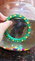 Emerald Bangles