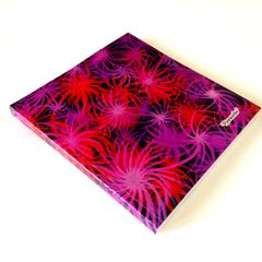 Fireworks Artwork Notebook