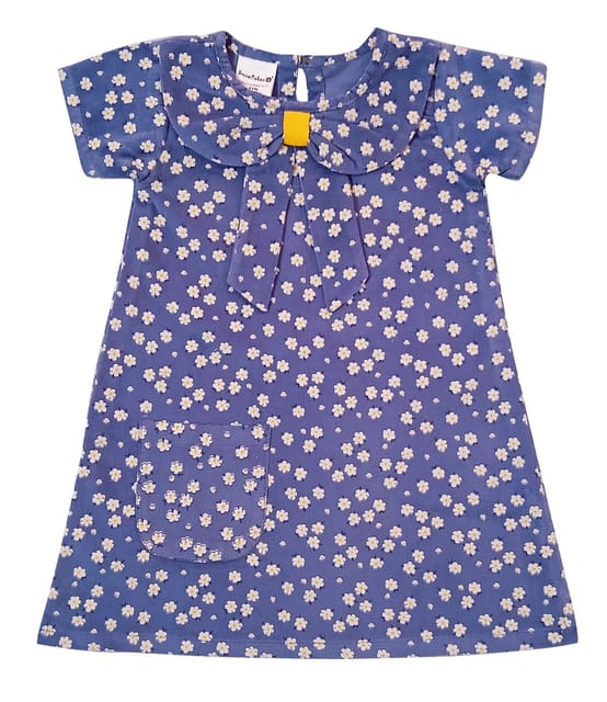Snowflakes Girls Corduroy Dress With Floral Prints - Blue
